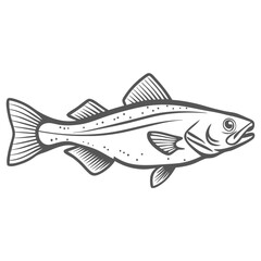 Alaska Pollock Fish Outline Illustration