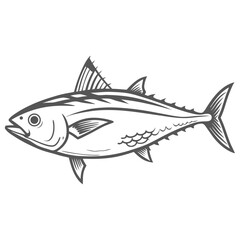 Albacore Tuna Fish Vector Illustration