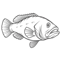 Black Grouper Fish Line Art Illustration
