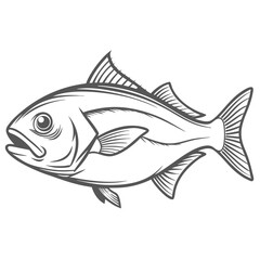 Amberjack Fish Line Art Illustration