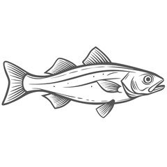 Haddock Fish Line Art Illustration
