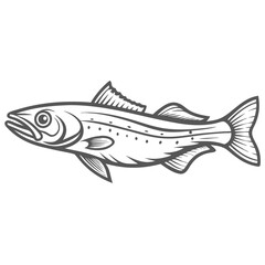 Silver Hake Fish Illustration - Merluccius bilinearis