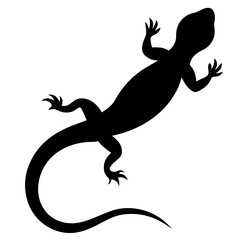 A black silhouette of a lizard, shown from above, with a long, slender body and a curled tail.