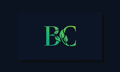 Minimal leaf style Initial BC logo.