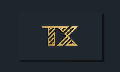 Elegant line art initial letter  TX  logo.