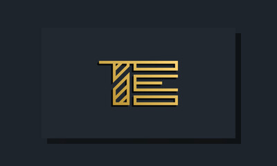 Elegant line art initial letter  TE  logo.
