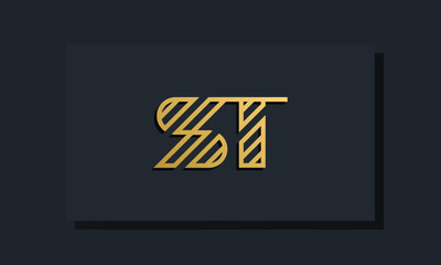 Elegant line art initial letter  ST  logo.