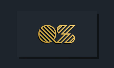 Elegant line art initial letter QS logo.