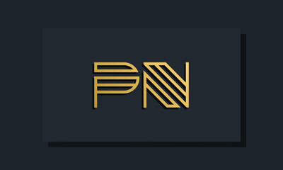 Elegant line art initial letter  PN  logo.