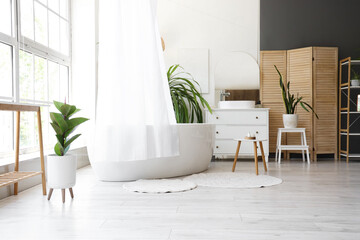 Interior of bathroom with bathtub, curtain and palm tree