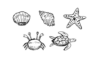 Marine life animals, seashells, starfish, crab, and turtle cartoon hand-drawn.