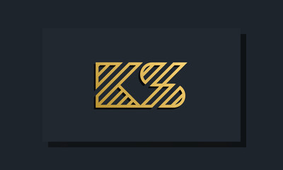 Elegant line art initial letter  KS  logo.