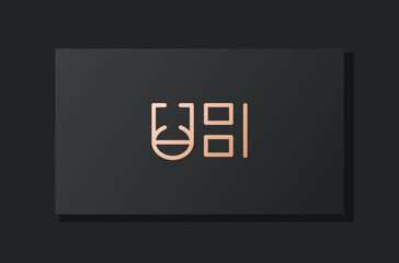 Abstract luxury initial letter UH logo.