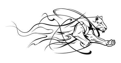 Abstract panther in a jump. Fast panther, art drawing sketch of big wild cat with lines. Running lioness black and white illustration. Safari in Africa © Andrew L
