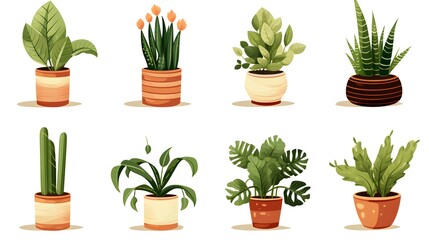 Professional Set of Potted Plants for Indoor Spaces and Home Decor