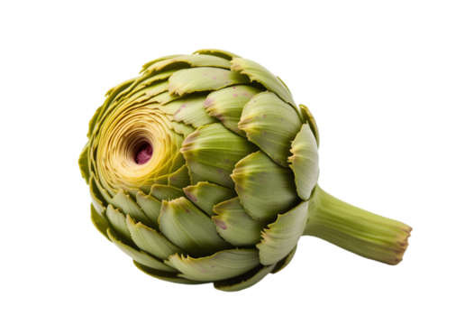 Artichoke isolated on transparent background,Single Fresh Artichoke Isolated on White for Healthy Eating Concepts: Gourmet Vegetable Imagery: Artichoke, Isolated, White, Fresh, Healthy, Eating, Veget