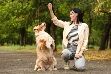 Pretty young woman with treat training her cute Australian Shepherd dog in park