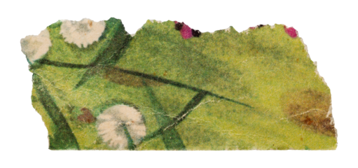 Piece of old vintage green paper with floral print, torn page from retro children's magazine