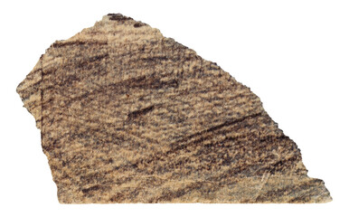 Torn piece of old vintage paper with brown pattern, scrap of page from children's magazine