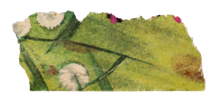 Piece of old vintage green paper with floral print, torn page from retro children's magazine