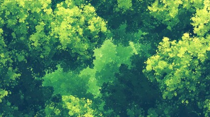 Lush Forest Canopy View