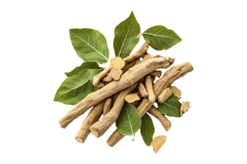 Ashwagandha dried root green leaves herbal plants isolated on transparent background
