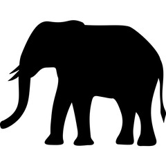 Fototapeta premium Elephant silhouette