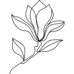 Line Drawing Vector Magnolia Flower