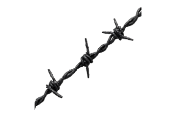 Barbed wire isolated on transparent background