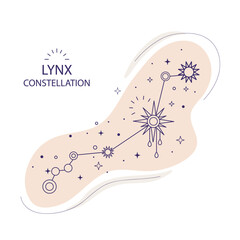 Lynx constellations of the northern hemisphere vector © alinart