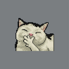 Laughing cat, pixel art meme illustration