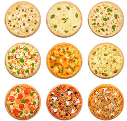 Eight different pizza set for menu. Italian food traditional cuisine. Vegetarian pizzas with mozarella, seafood, salmon, mushrooms. Collage of pizzas with fish and vegetables.