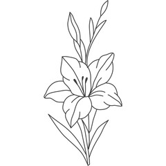 Gladiolus Flower Line Art