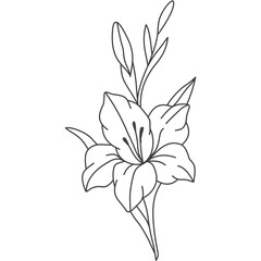Gladiolus Flower Line Art