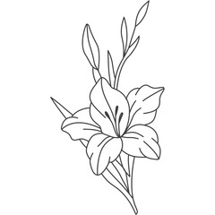 Gladiolus Flower Line Art