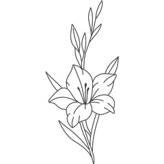 Gladiolus Flower Line Art