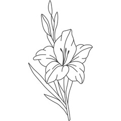 Gladiolus Flower Line Art