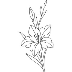 Gladiolus Flower Line Art