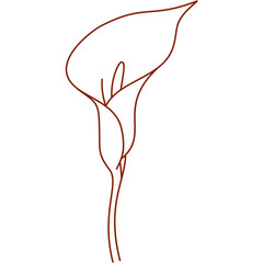 alcatraz, outline, hand drawn, illustration, isolated, line, minimal, nature, plant, garden, pretty flower, silhouette, simple, single alcatraz, sketch, summer, graphic, flower, alcatraz flower, color