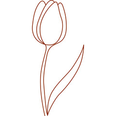 Tulip flower line drawing