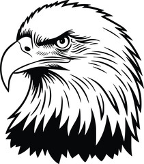 Obraz premium Black and white bold vector of a detailed eagle head, isolated on white background.