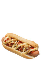 hot dog with mustard isolated 
