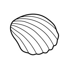 Seashell Outline Illustration
