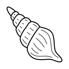 Seashell Outline Illustration