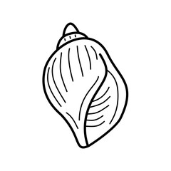 Seashell Outline Illustration