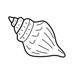 Seashell Outline Illustration