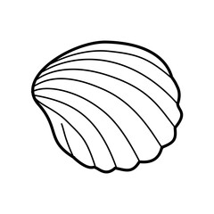 Seashell Outline Illustration