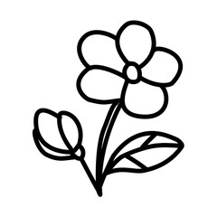 Scribble Style Jasmine Flowers