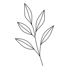 Delicate Botanical Line Art