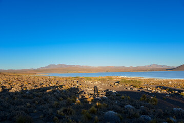 Early morning at laguna blanca national park, patagonia, argentina, south america